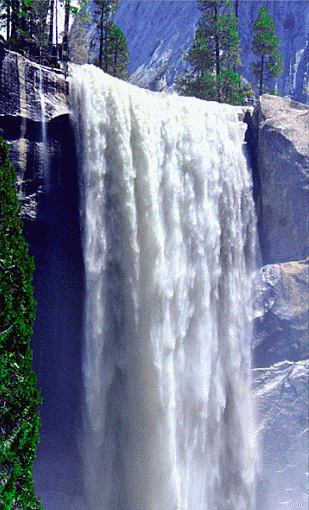 nanyaraujo68:
“ nany araujo
”