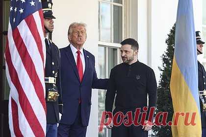 В Раде предсказали последствия отказа Зеленского от предложения Трампа по Украине