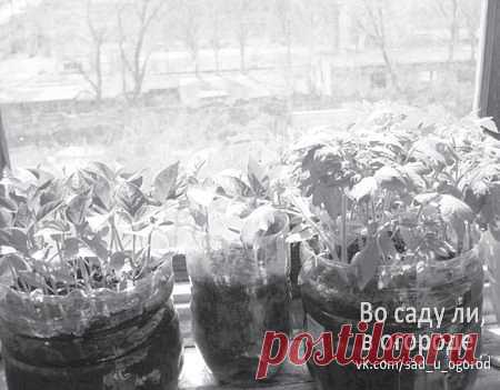 (45) Одноклассники