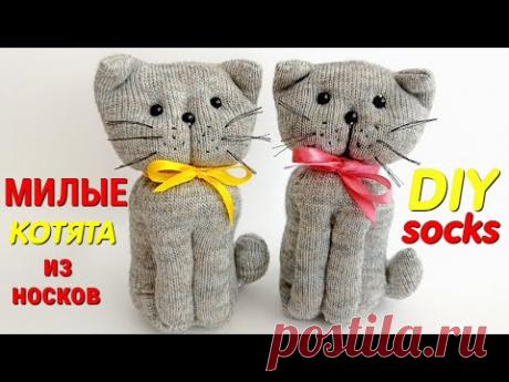 БРИТАНСКИЕ КОТЯТА из Носков своими руками - British kittens from socks - Alesya Gor - Diy - YouTube