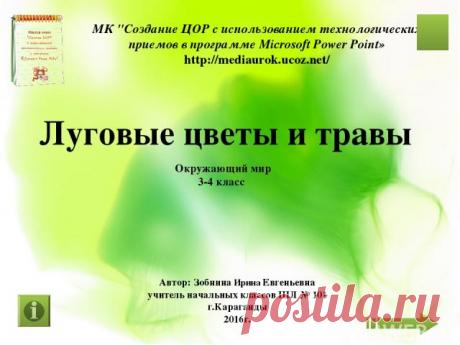 Луговые цветы и травы - презентация для начальной школы