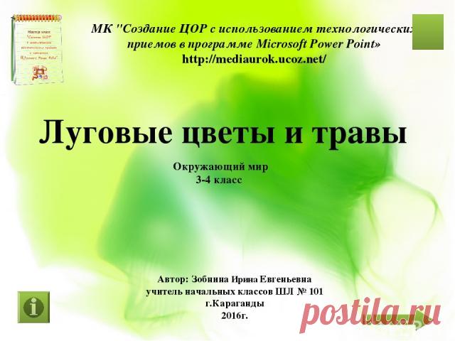 Луговые цветы и травы - презентация для начальной школы