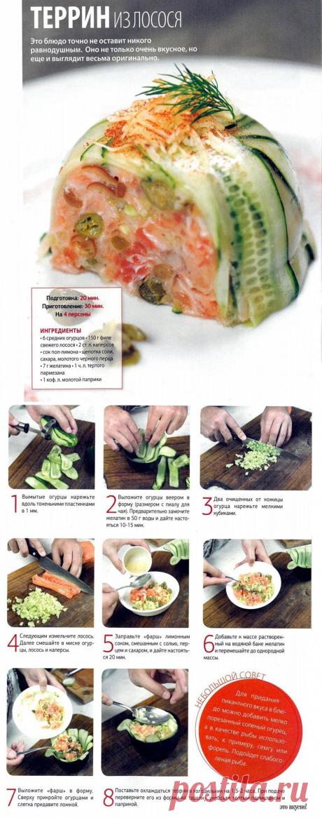 Террин из лосося
