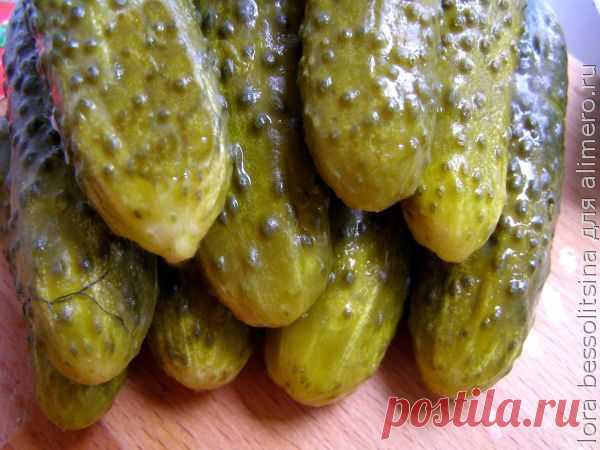 👌 Засолка вкуснейших огурцов на зиму, рецепты с фото