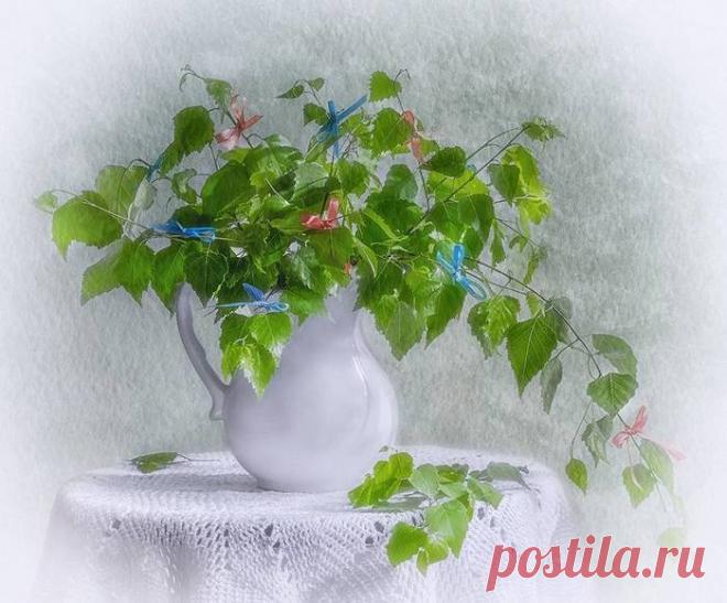 Нежность фотонатюрмортов Светланы Лебедевой