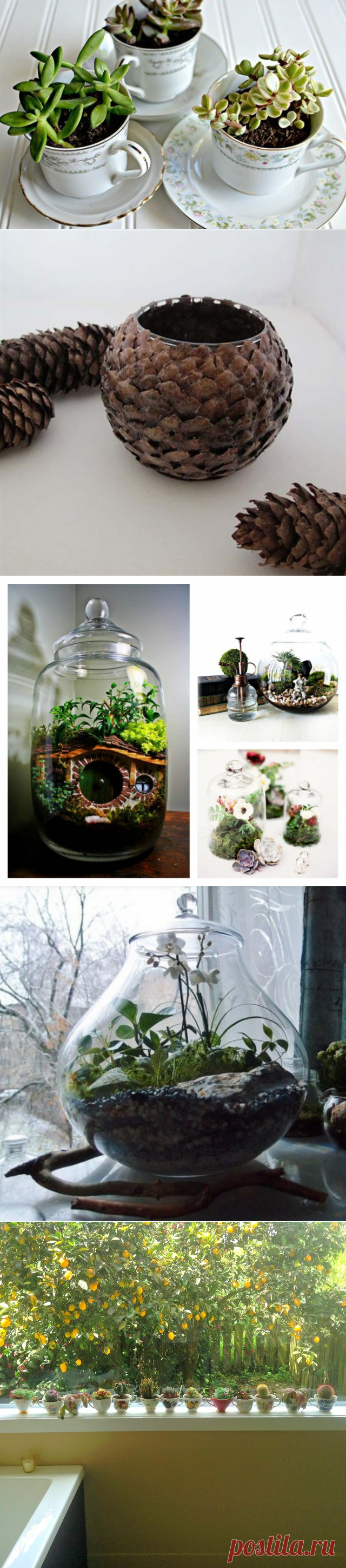 Идеи для цветов: вазы и горшки своими руками | Вторая  Улица | Советы по выращиванию и красивые фото на Постиле