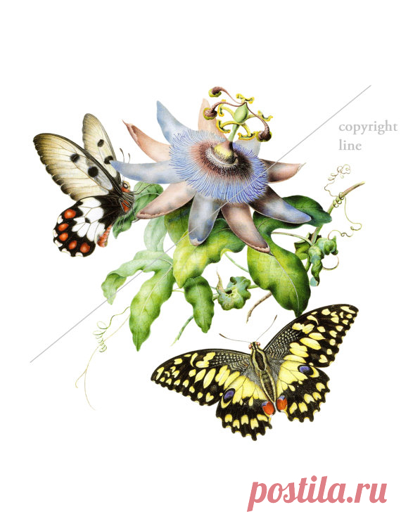 Vintage mariposas y flores - tatuaje temporal Este listado es para un tatuaje temporal de alta calidad.  »» El tatuaje se parece a lo real! Minutos y le dura por días. Genial para los niños y adolescentes que quieran experimentar o para probar un diseño antes de tenerlo tatuado de verdad.  »» Elegir el tamaño preferido (Nota: se refiere a la parte más larga de la imagen!)  »» Para aplicar el tatuaje, pelar el brillante forro lejos del lado adhesivo del tattoo y aplicar el ...