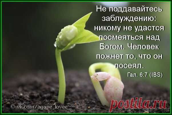 ♥...Агапэ...♥
Тот, кто сеет ради угождения своей греховной природе, пожнет от этой природы гибель. A тот, кто сеет для угождения Духу, от Духа пожнет вечную жизнь.
(Гал.6:8)