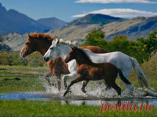 Интересные новости