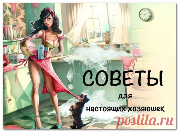 СОВЕТЫ ДЛЯ НАСТОЯЩИХ ХРАНИТЕЛЬНИЦ ДОМАШНЕГО ОЧАГА