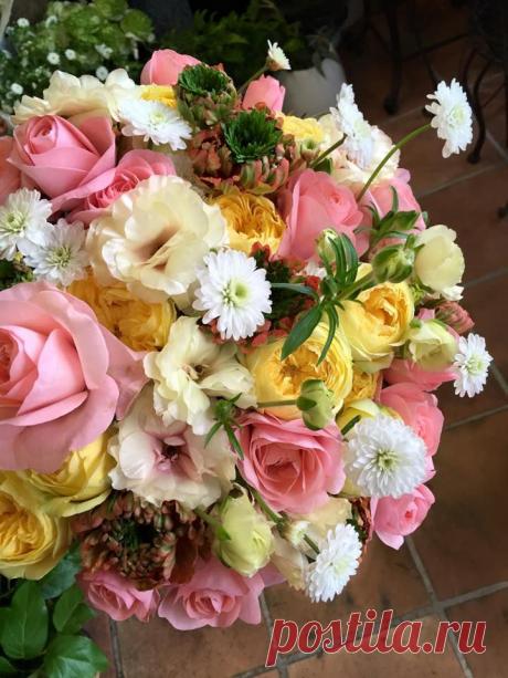 флористика