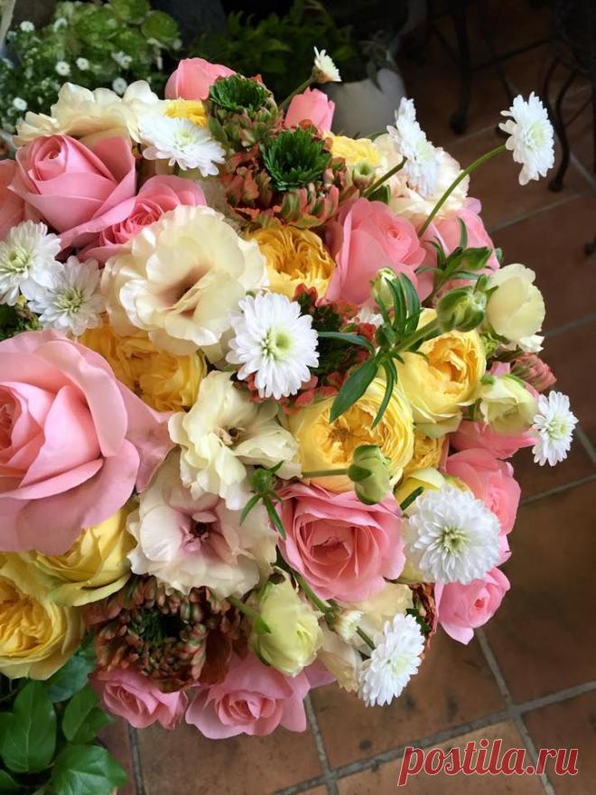 флористика