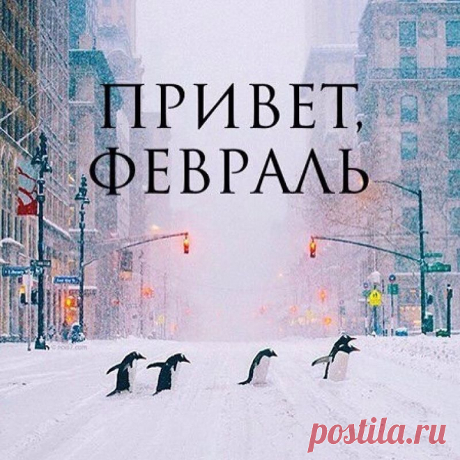 Прощай январь, завтра февраль: поздравления с последним днем января, доброе утро - гифки, открытки, картинки красивые стихи с уходящим январем
