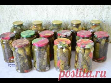 ХРУСТЯЩИЕ ОГУРЦЫ НА ЗИМУ БЕЗ УКСУСА .Вкусный рецепт огурцов на зиму