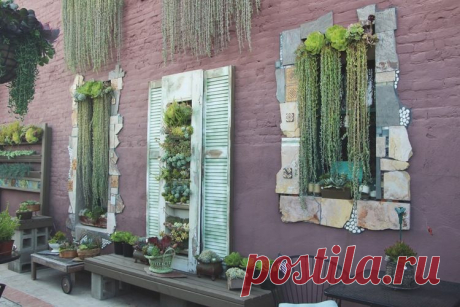 Succulent Cafe Oceanside: A Living Masterpiece — Needles + Leaves