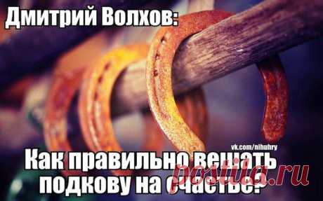 Дмитрий Волхов: Как правильно вешать подкову на счастье?