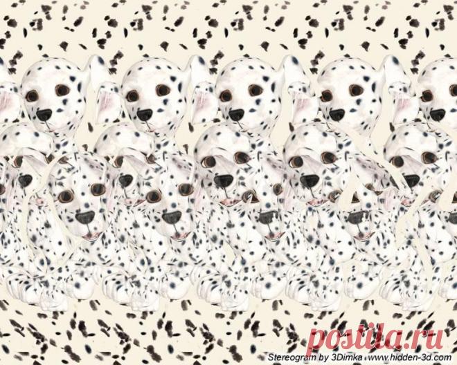 Стереокартинки (продолжение 12). / Фотошоп и я.