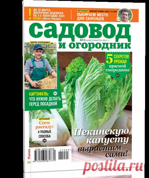 Читать журнал Садовод и огородник №5 2021 бесплатно - полная версия.