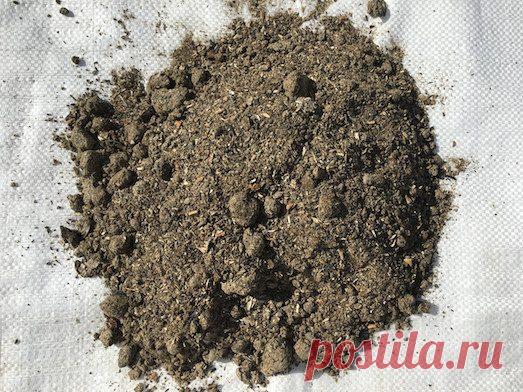 ЧТО ТАКОЕ И ЧЕМ ПОЛЕЗЕН ШРОТ?