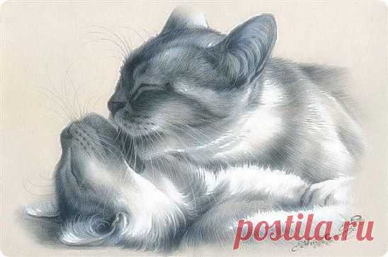 Рисунок карандашом