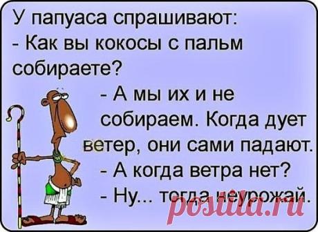 Капитану российского судна захваченного в Сомали, пираты подарили кинжал...
— Люся, а у тебя есть парень?— Нет.— Как?! У такой милой, красивой и очаровательной девушки нет парня?!..— Умер от счастья…
Во время экзамена в Литературный институт.- Прочтите что-нибудь пушкинское…
