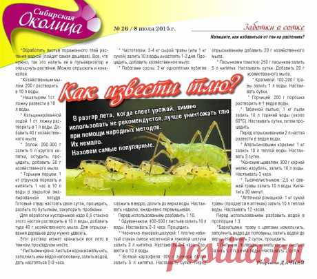 Как извести тлю