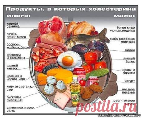 Шкала полезных продуктов и не очень).