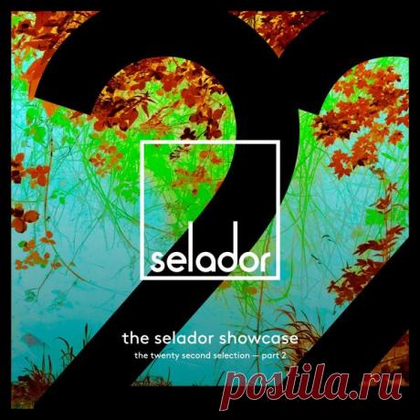 VA - Selador Showcase 22, Pt. 2 SEL206B » MinimalFreaks.co