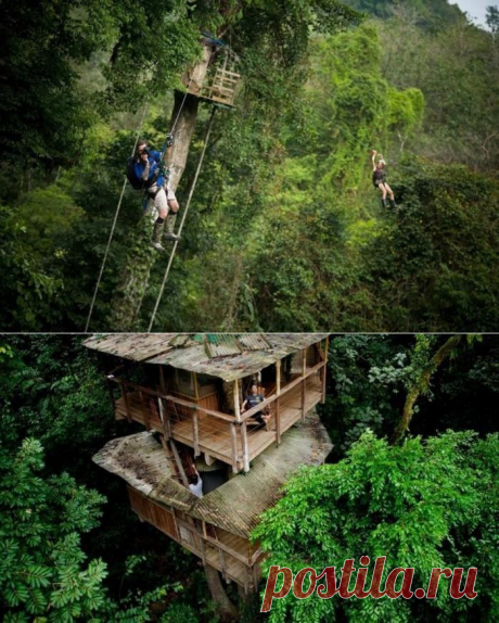 Усадьба Беллависта – поселение на деревьях