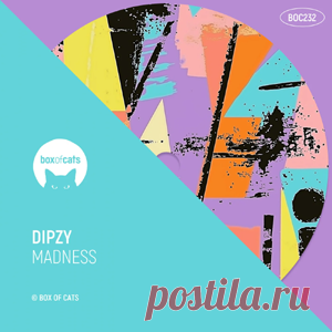 Dipzy - Madness | 4DJsonline.com
