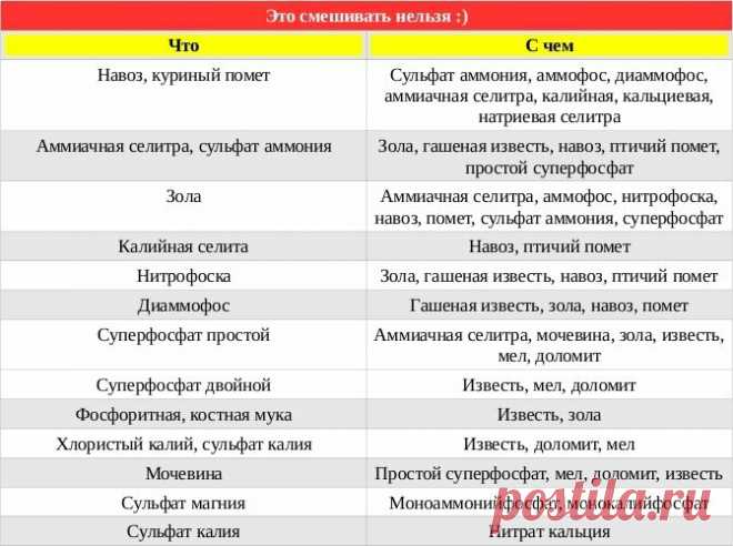 Не было хорошего урожая клубники, пока не узнала секрет весенних подкормок | Prosad.ru: Все про сад и дачу | Яндекс Дзен