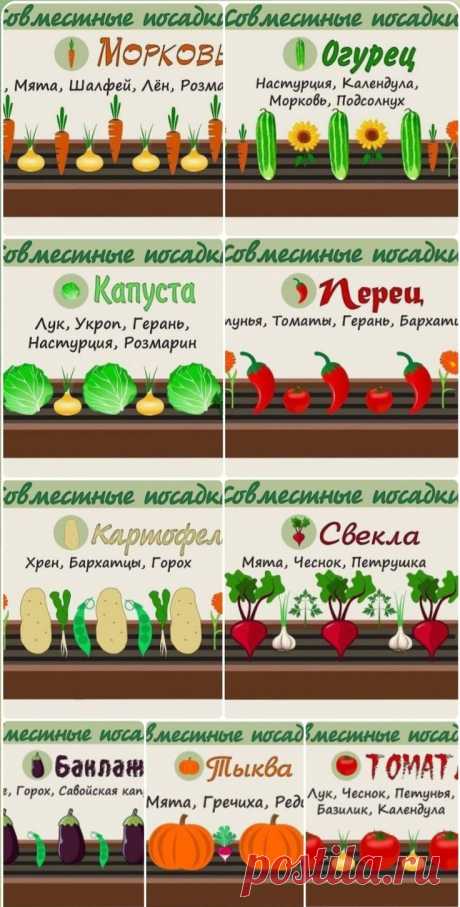 11.06.2022 - Автор пина:Натали Шаблыко. Находите и прикалывайте свои пины в Pinterest!
