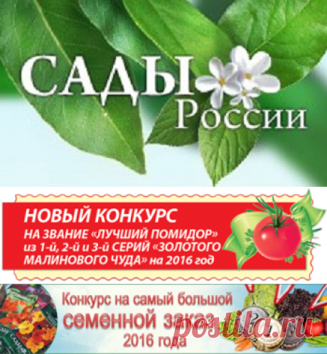 НПО &quot;Сады России&quot;- конкурс на заказ семян - Елена-дача.ру | Елена-дача.ру