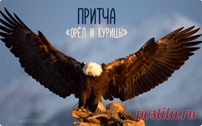 Притча: Орел и куры
