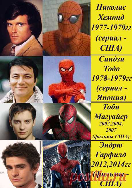 Спайдеры