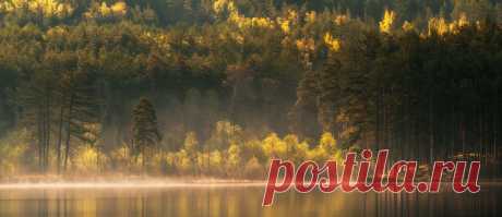 Звонкие струны весны .