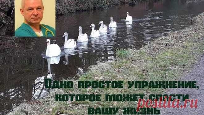 Одно простое упражнение, которое может спасти вашу жизнь.