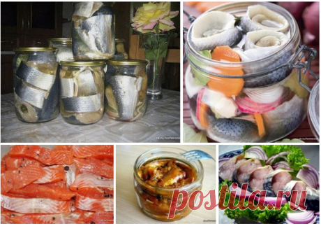 Bon Appétit: Солёная, маринованная, копчёная рыбка легко!