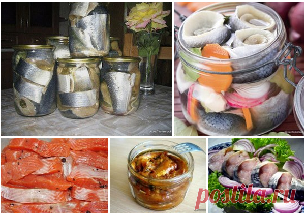 Bon Appétit: Солёная, маринованная, копчёная рыбка легко!