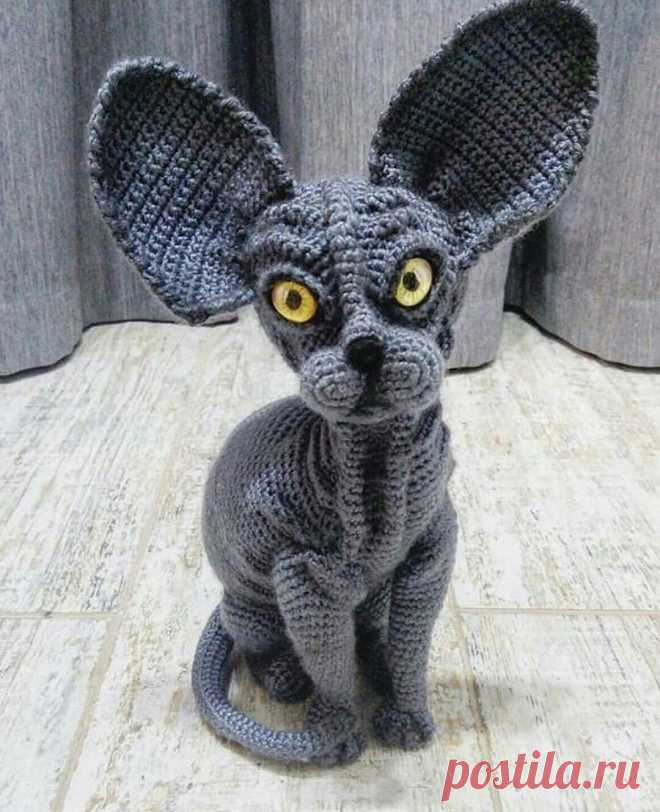 пес и кот сургут