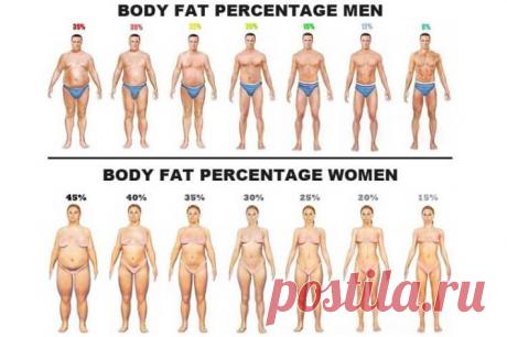 В помощь худеющим: как активировать процесс сжигания жира