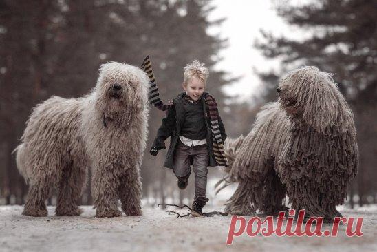 (22) Одноклассники