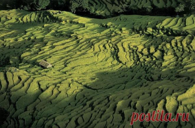 Красивые фотографии Земли (30 фото). Аэрофотографии от фотографа Яна Артюса-Бертрана (Yann Arthus-Bertrand).
Тематика работ фотографа очень широка и включает в себя как творения человека (например мегаполисы), так и природу. Ян Артюс — Бертран показывает нашу планету во всем её многообразии.