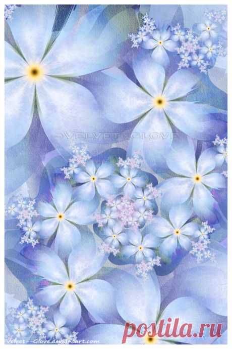 Forget Me Not by Velvet--Glove on DeviantArt