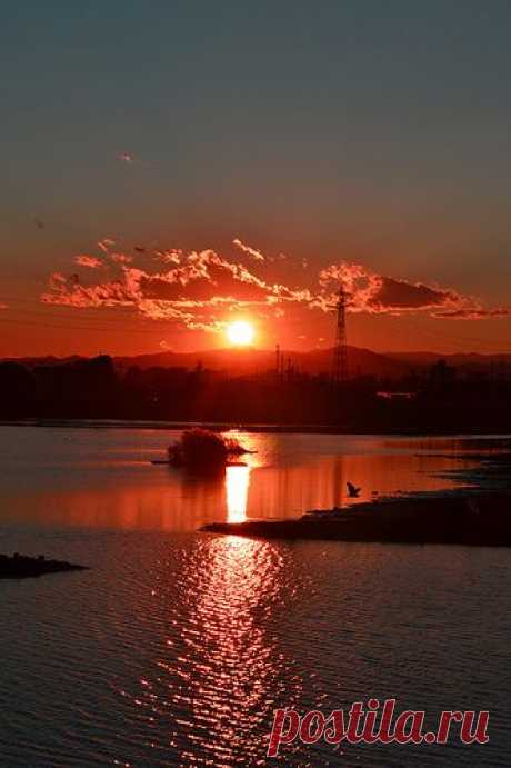 A Happy Sunset | Flickr – Compartilhamento de fotos!
от Le Velo Indigo  |  Pinterest • Всемирный каталог идей