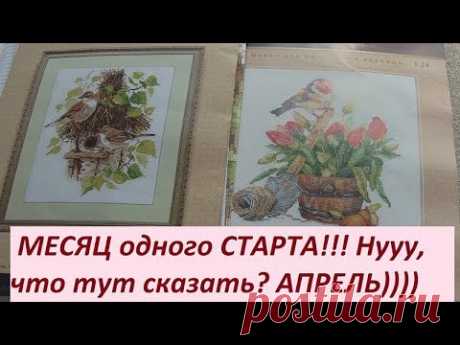 Славки. МЕСЯЦ одного СТАРТА! Первые крестики