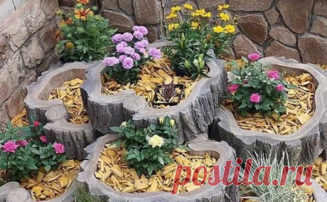 Когда и пень цветет — Сделай сам, идеи для творчества - DIY Ideas