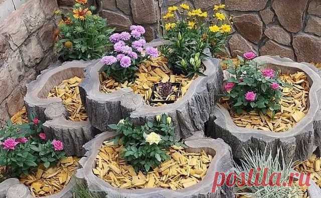 Когда и пень цветет — Сделай сам, идеи для творчества - DIY Ideas