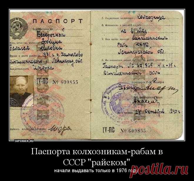 Вся правда о паспортах и колхозниках. Разбор очередного мифа