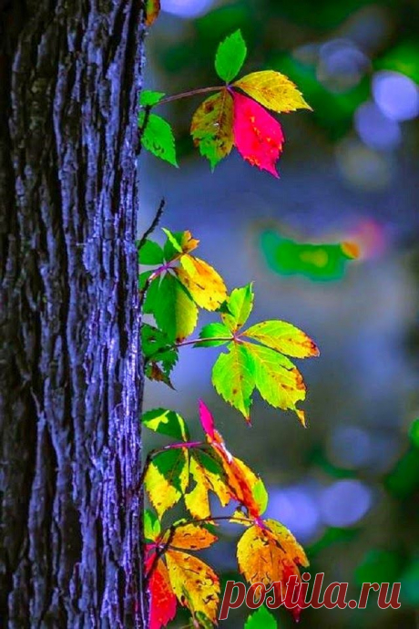 9b.jpg (640×960)